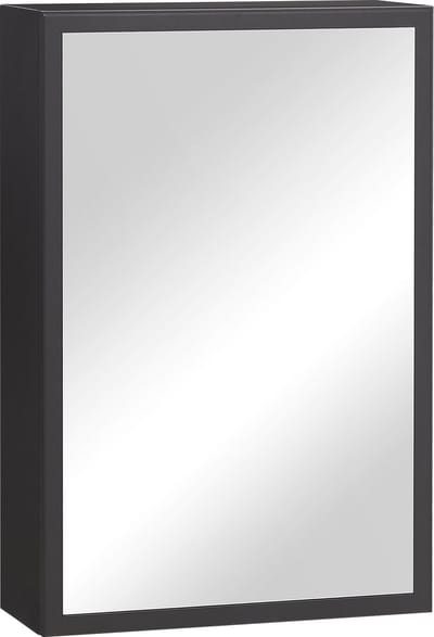 Kleankin - Badkamerspiegelkast - met Spiegelglas - Zwart - 834-552V00