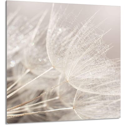 TMK ArtDeko - Serie - Glass Paneel - Keuken Decor - 60x65 cm