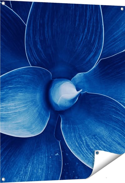 Gards Tuinposter Blauwe Agave Plant - Bloem - 80x100 cm - Tuindoek - Tuindecoratie - Wanddecoratie buiten - Tuinschilderij
