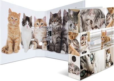 Ordner A4 Katzen