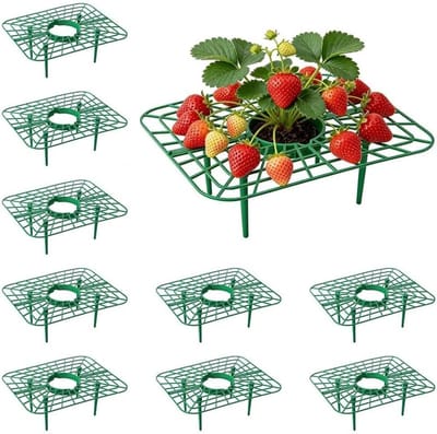 Set van 10 Aardbeiensteunen - Verwijderbare Plantrekken voor Aardbeien, Groenten en Tomaten, Bescherming tegen Slakken en Schade