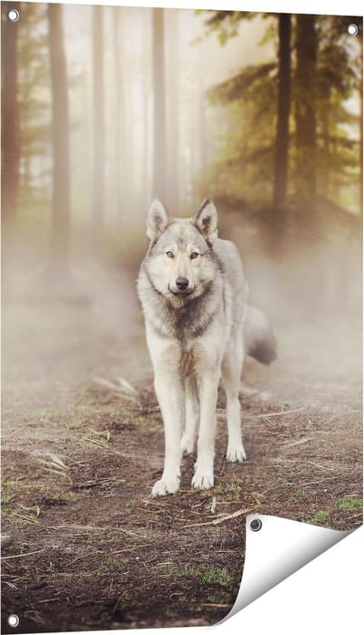 Gards Tuinposter Grijze Wolf in het Bos - 60x90 cm - Tuindoek - Tuindecoratie - Wanddecoratie buiten - Tuinschilderij
