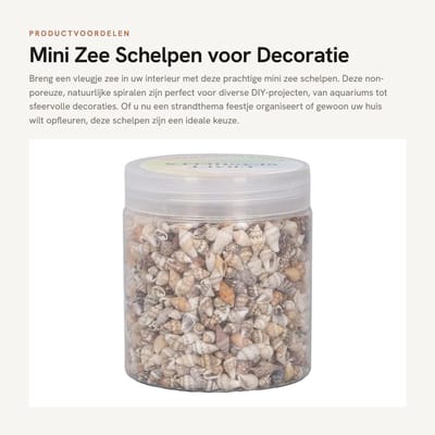 Dailygoods- Zeeschelp Mini - Decoratie Schelpen - DIY Aquarium - Kaarsen Maken - Nautische Decoraties - Handgemaakt Design - Decoratieschelp