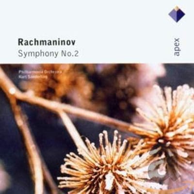 CD SERGEI VASILYEVICH RACHMANINOFF - P - Symfonie nr. 2 0927490442 Apex 2002 Europa Klassiek Gebruikt black