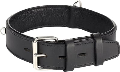 Flamingo Seattle Gevoerd;breed - Halsband Honden - Halsband Seattle Zwart L 49-58cm 40mm - 1st - 124277 - 1st