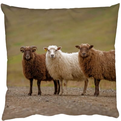 Sierkussens - Kussentjes Woonkamer - 50x50 cm - Schapen - Bruin - Wit - Grindpad