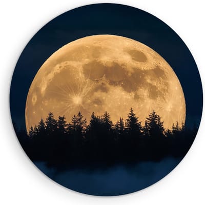 Saammp Muurcirkel Hout - Maan met bos - Natuur - Landschap - Ø 90 - Wandcirkel - Wanddecoratie Cirkel - Muurdecoratie Woonkamer - Slaapkamer decoratie - Rond Schilderij