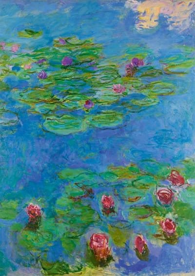 Bluebird Puzzle legpuzzel Claude Monet Water Lilies 1917 - 1000 stukjes.