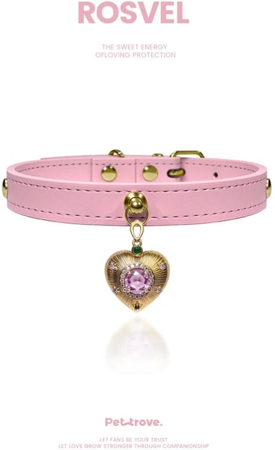 Halsband Pettrove Suede Goud Roze Hart