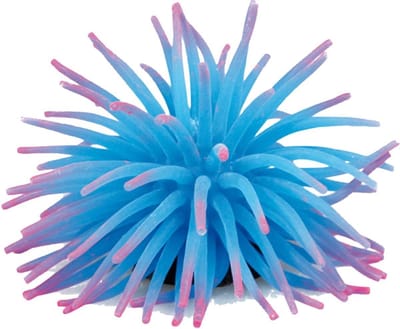 Flamingo Aquarium accessoires Anemoon  - 5 centimeter