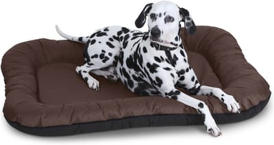 Knuffelwuff waterbestendig hondenbed voor binnen en buiten Lucky XL 90 x 75cm bruin