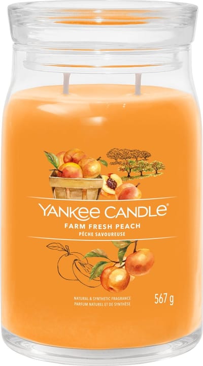 Yankee Candle - Farm Fresh Peach Large Jar Geurkaars - 90 branduren - twee lonten