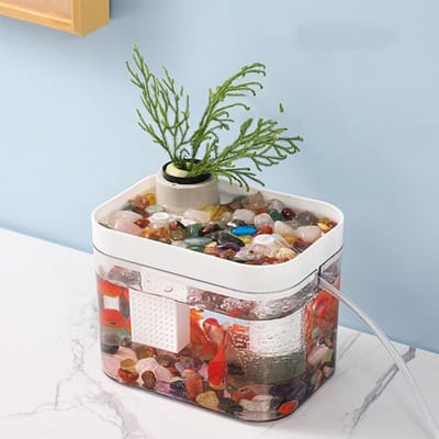 Transparant Aquarium met Deksel, Kleine Ecologische Visbak met USB Luchtpomp, Ideaal voor Thuis en Kantoor, 16 x 12 cm, Perfect voor Visverzorging en Decoratie