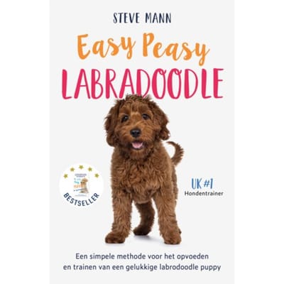 Easy Peasy Labradoodle - Steve Mann