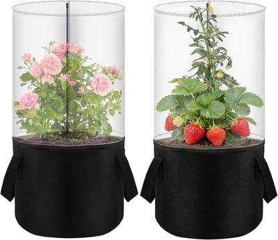 Mini plantenkas - Kweekkas set - Planten beschermen - Geïntegreerd systeem - 45 x 29 cm - Transparant