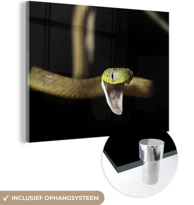 MuchoWow® Glasschilderij 160x120 cm - Schilderij acrylglas - Slang - Dier - Zwart - Foto op glas - Schilderijen