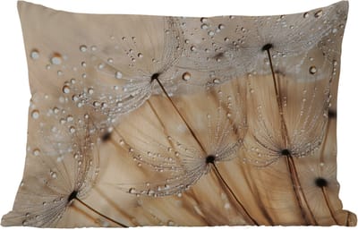 Buitenkussens - Tuin - Paardenbloem - Abstract - Natuur - Beige - 50x30 cm