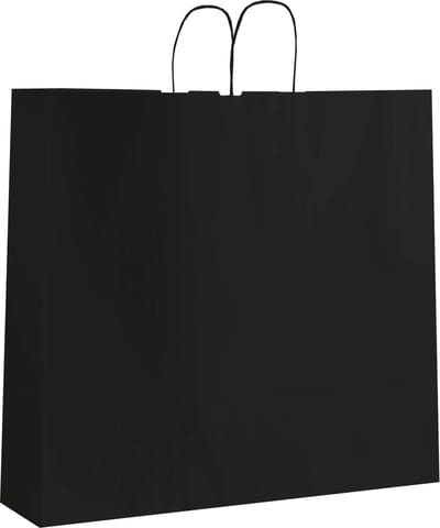 Papieren tasjes 50 stuks - Zwart - 55x15x49 - Cadeautasjes - Papieren tasjes met handvat