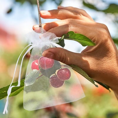 Organza Geschenktasjes - 120 Stuks Witte Cadeautasjes 10 x 15 cm voor Feestjes, Bruiloften en Cadeaus