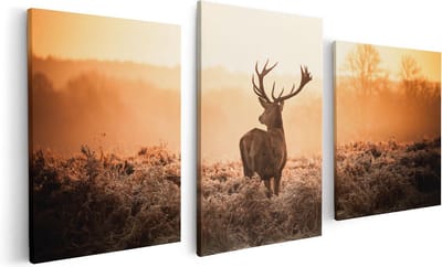 Artaza Canvas Schilderij Drieluik Hert In De Wei Tijdens De Zonsopkomst - 120x60 cm - Wanddecoratie Woonkamer - Schilderijen - Muurdecoratie