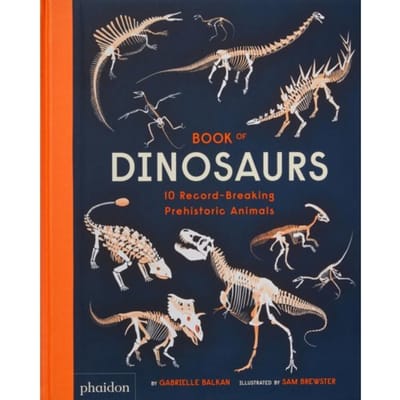Book Of Dinosaurs - Gabrielle Balkan