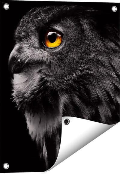 Gards Tuinposter Zwarte Uil met Gouden Ogen - 40x50 cm - Tuindoek - Tuindecoratie - Wanddecoratie buiten - Tuinschilderij