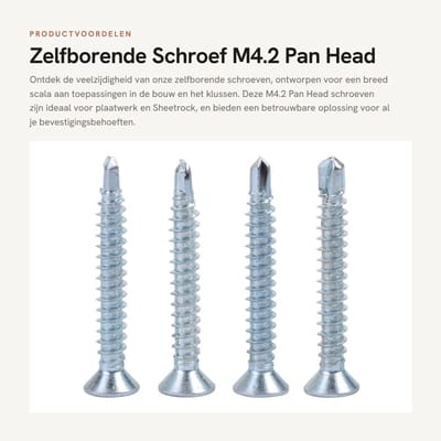 Dailygoods- Zelfborende Schroef 50 Stuks - M4.2 Pan Head - Verzinkte IJzeren Schroeven - Bevestiging Plaatwerk - Hoogwaardige Kwaliteit - Ideaal voor Krappe Ruimtes