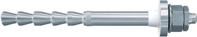Fischer 92018 schroefanker & muurplug 10 stuk(s) 100 mm