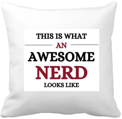 Akyol - an awesome nerd Kussen hoes - Nerd - echte nerds - school - verjaardagscadeau - kado - gift - 40 bij 40 cm