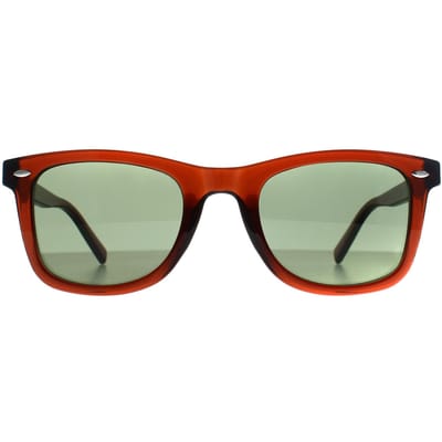 Calvin Klein Square Heren Transparant Bruin Groen CK22555S