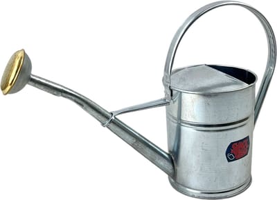 Synx Tools Gieter Zilver 2L - Verzinkt - Gieters - Metaal - gieters voor binnen - gieter binnen - gieters voor buiten - kleine gieter