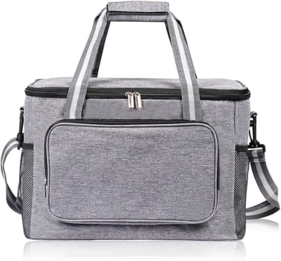 Famanu - Kleine koeltas voor onderweg, opvouwbare koeltas, thermotas voor picknick/BBQ/camping/uitstapjes/winkelen/auto, 24Liter, Grijs