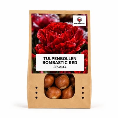 Tulpenbollen Bombastic Red - 20 Stuks - Rode Pioentulp - Dubbelbloemige Tulp - Bolmaat 11/12