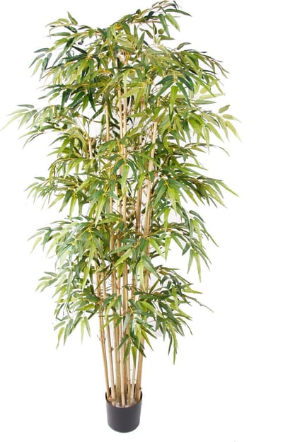 Emerald - Kunstplant Bamboe Deluxe 205cm - Kunstplant voor binnen