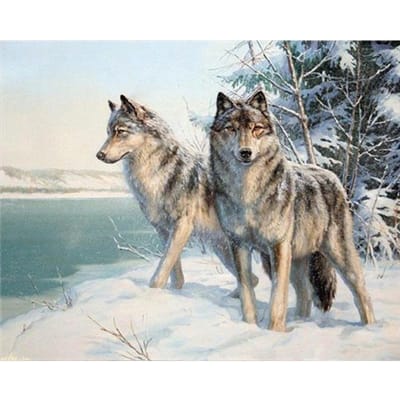 Kit de broderie diamant 5D à faire soi-même, motif lune, neige, loup, peinture diamant, animaux 20X30CM gray