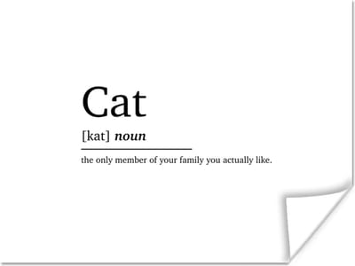 Poster Quotes - Huisdieren - Cat - Spreuken - Woordenboek - Kat definitie - 160x120 cm XXL