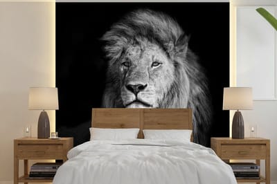Behang - Fotobehang Wilde dieren - Leeuw - zwart - Wit - Breedte 220 cm x hoogte 220 cm