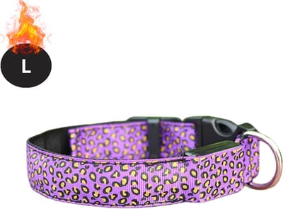 Bovista Lichtgevende Halsband - Verlichte Halsband - Lichtgevend - Hond - Kat - Lampje - Hondenhalsband Led - Oplaadbaar - Paars - L