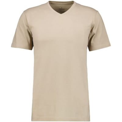 Ragman T-Shirt Uni V-Neck Single Jersey Walnut / male