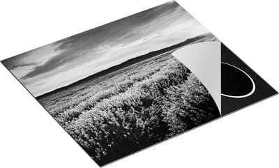 Chefcare Inductie Beschermer Bloemenveld met Paarse Lavendel - Bloemen - Zwart Wit - 60x50 cm - Afdekplaat Inductie - Kookplaat Beschermer - Inductie Mat