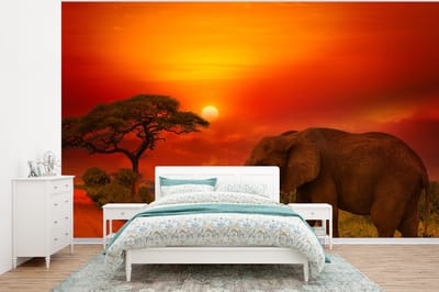 Behang - Fotobehang Olifant - Zonsondergang - Oranje - Savanne - Dieren - Breedte 320 cm x hoogte 240 cm