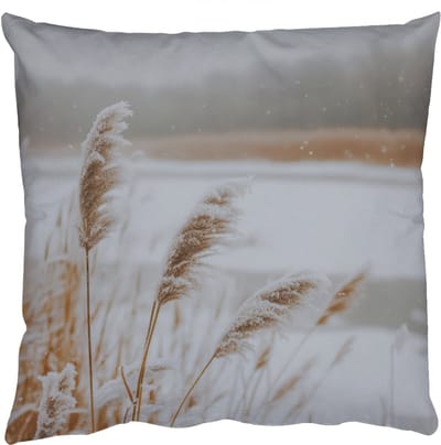 Sierkussens - Kussentjes Woonkamer - 50x50 cm - Riet - Meer - Winter - Natuur - Sneeuw - Beige
