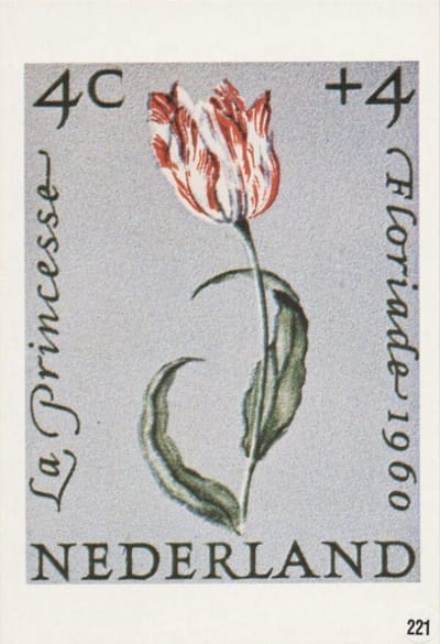 Briefkaart met afbeelding Tulp postzegel