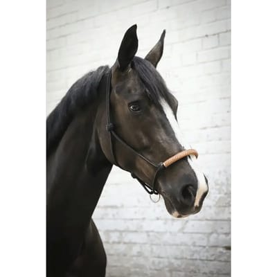 Halster voor Amerikaans ethologisch paard Pénélope