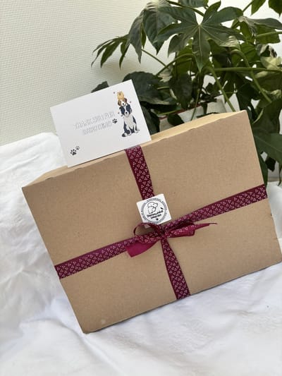 Honden snack cadeau box - Snackbox L - Grote hond adult - Natuurlijke ingrediënten