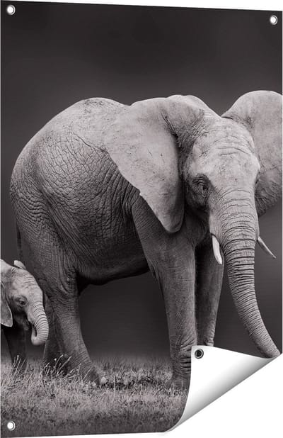 Gards Tuinposter Olifant Moeder en Zoon - Zwart Wit - 60x80 cm - Tuindoek - Tuindecoratie - Wanddecoratie buiten - Tuinschilderij