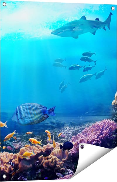 Gards Tuinposter Vissen met Haaien in de Oceaan met Koraalrif - 60x80 cm - Tuindoek - Tuindecoratie - Wanddecoratie buiten - Tuinschilderij