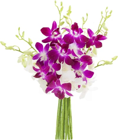 Orchidee Boeket - Paarse Witte Orchideeën - Cadeau Geven - Verse Bloemen - 15.2 x 15.2 x 15.2 cm