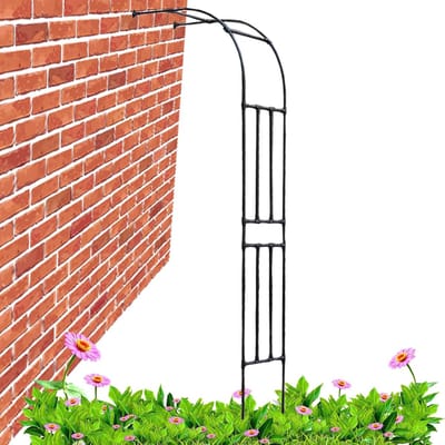 Tuinboog Metaal - Rozenboog Klimplanten - Decoratieve Tuinondersteuning - Gegalvaniseerde Stevige Buizen - 240 cm Hoog - Zwart