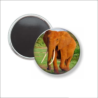 Button Met Magneet - Olifant - NIET VOOR KLEDING